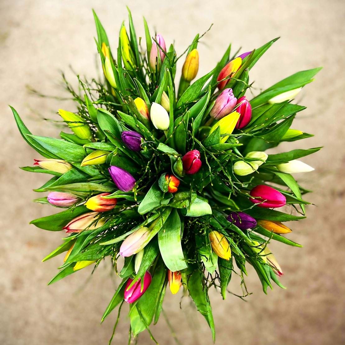 Billede af tulipanbuket i forskellige farver