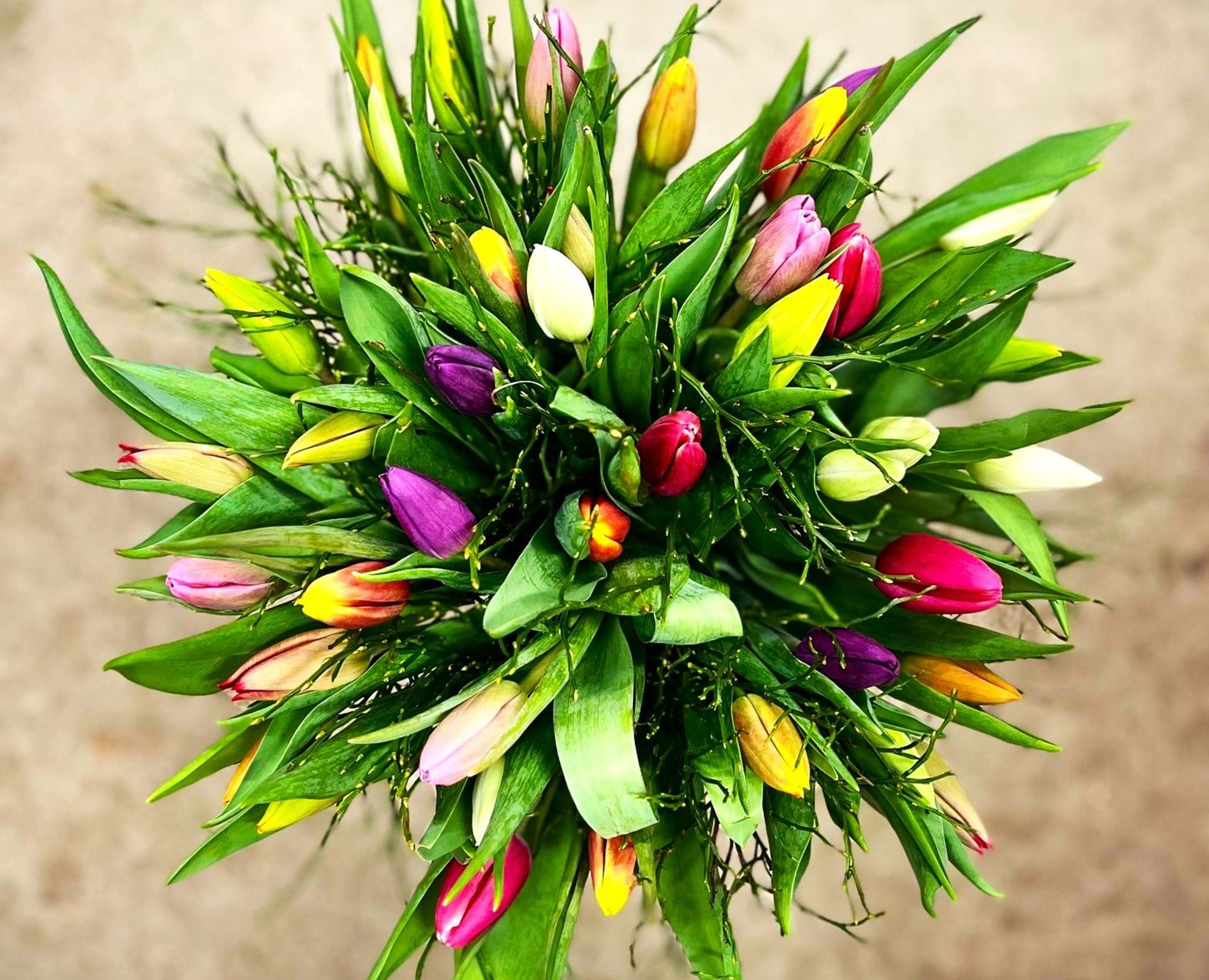 Billede af tulipanbuket i forskellige farver