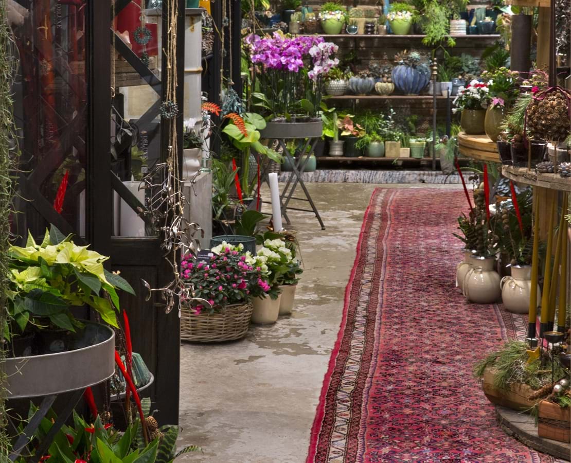 Glimt fra butikken med plantearrangementer.